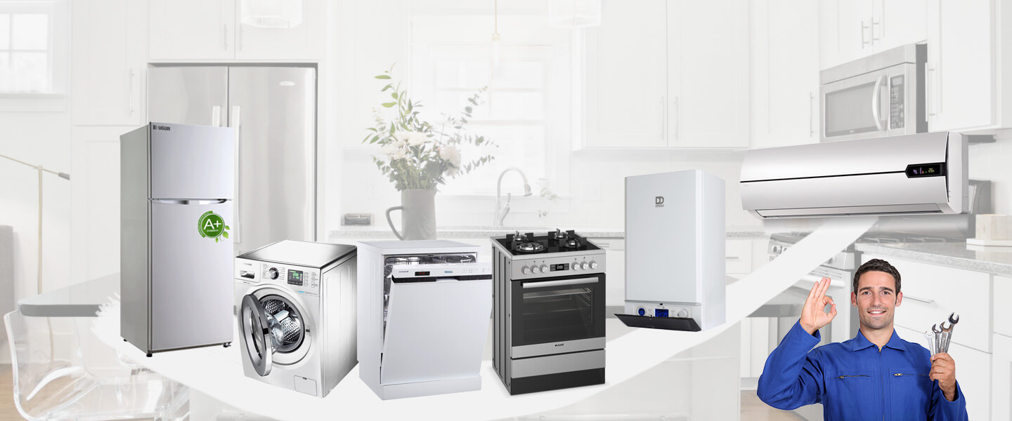 Kaynaşlı Grundig Servisi